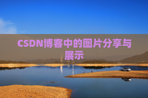 CSDN博客中的图片分享与展示